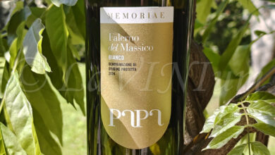 Falerno del Massico Bianco Memoriae 2024 Papa