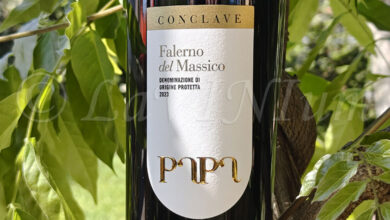 Falerno del Massico Primitivo Conclave 2023 Papa