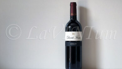 Friuli Isonzo Merlot 2020