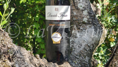 Friuli Isonzo Pinot Grigio 2022 Davide Feresin