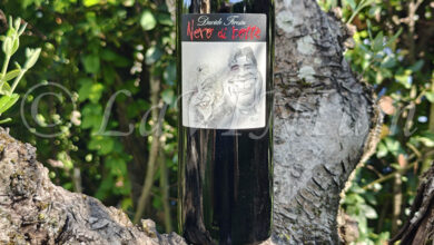 Friuli Isonzo Refosco dal Peduncolo Rosso Nero di Botte 2018 Davide Feresin