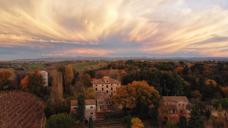 Panorama azienda Marotti Campi
