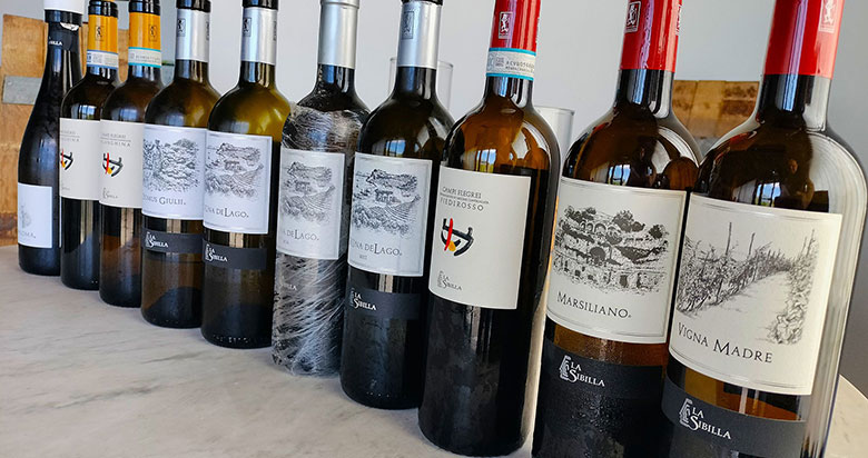I vini de La Sibilla