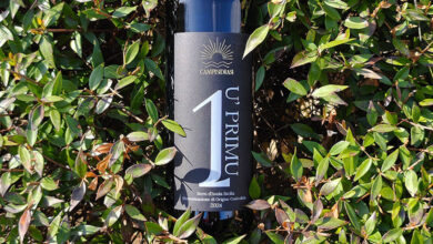 Sicilia Nero d'Avola U' Primu 2024 Campisidrasi