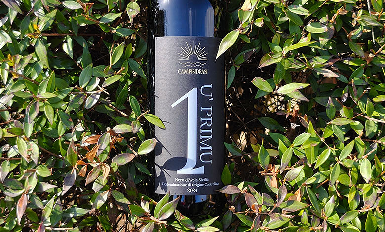 Sicilia Nero d'Avola U' Primu 2024 Campisidrasi