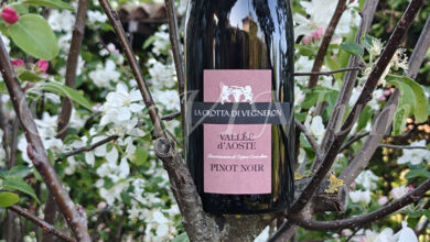 Vallée d'Aoste Pinot Noir 2024 La Crotta di Vegneron