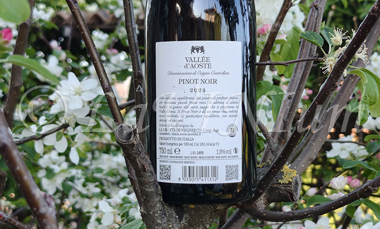 Vallée d'Aoste Pinot Noir 2024 La Crotta di Vegneron
