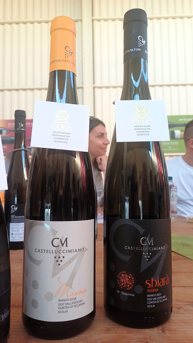 Vini Castellucci Miano