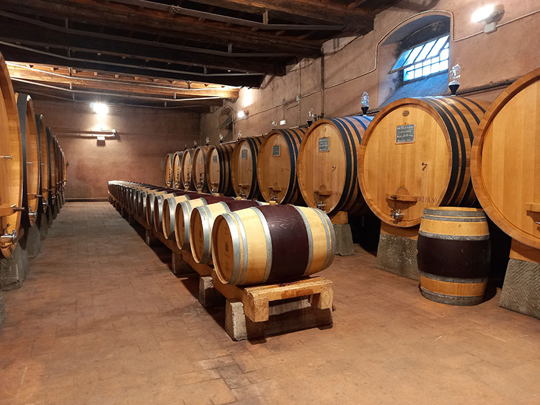 Castello di Nipozzano la cantina