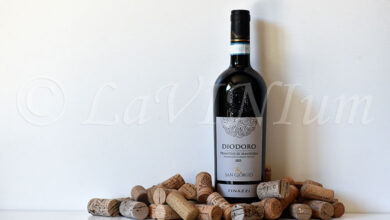 Primitivo di Manduria Diodoro Tenuta San Giorgio 2023 Tinazzi
