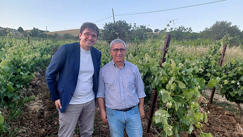L'enologo Tonino Guzzo in vigna