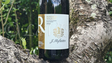 Alto Adige Pinot Nero Riserva Mazon 2022 Hofstätter
