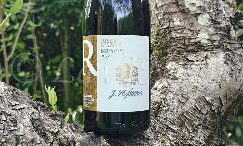 Alto Adige Pinot Nero Riserva Mazon 2022 Hofstätter