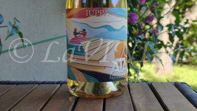 Etna Rosato ATA 2024 Cantine Iuppa