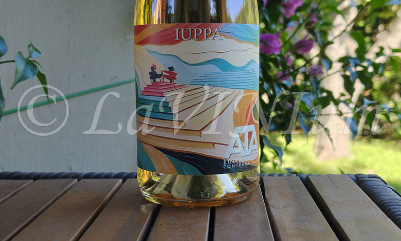 Etna Rosato ATA 2024 Cantine Iuppa