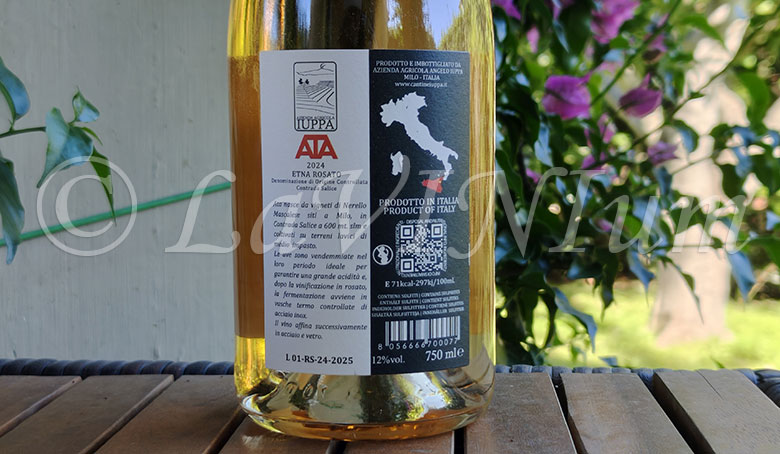 Etna Rosato ATA 2024 Cantine Iuppa