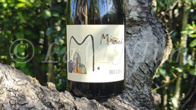 Friuli Colli Orientali Friulano 2022 Miani