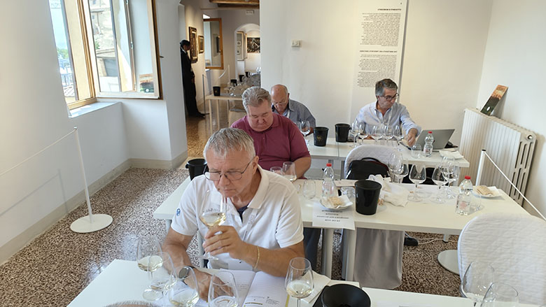 Degustazione delle nuove annate al Museo De Grada