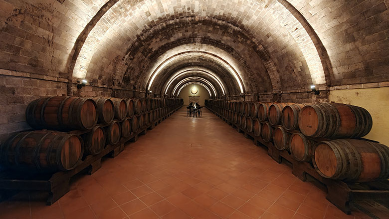 La cantina del Lunaria Tuscany