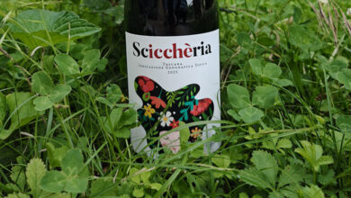 Toscana Rosso IGT Scicchèria 2024 Borgo Tollena