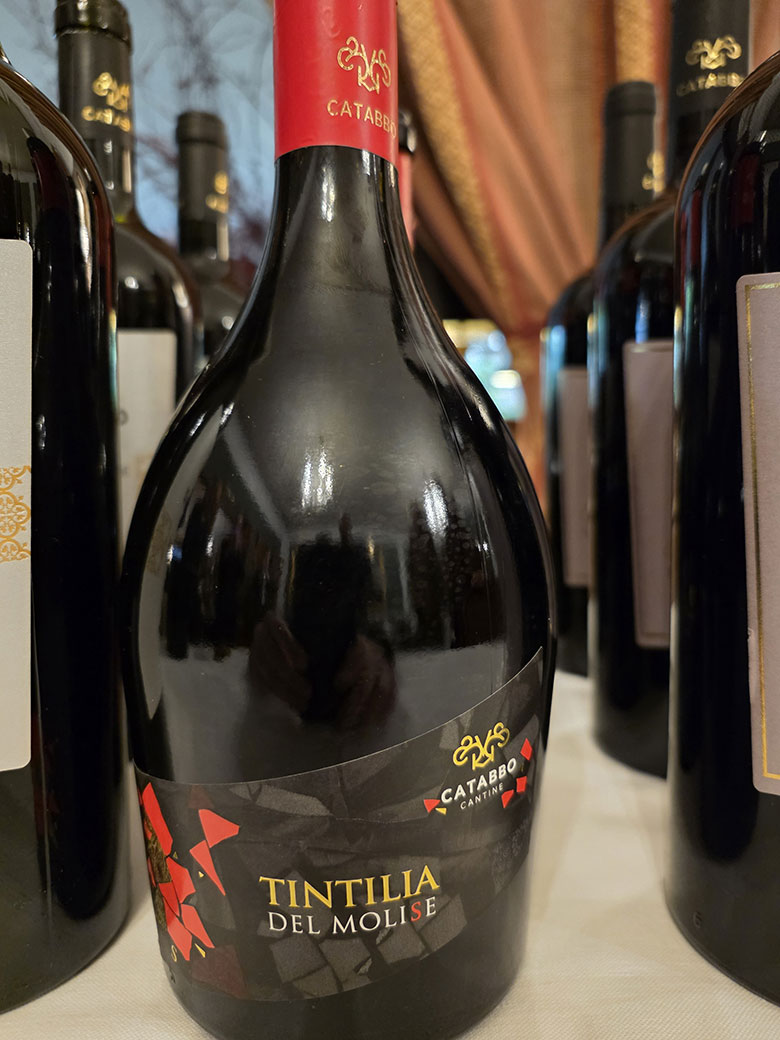 Tintilia S 2024 Catabbo