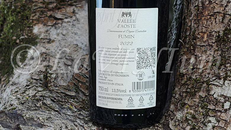 Vallée d'Aoste Fumin Esprit Follet 2022 La Crotta di Vegneron