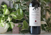 Chianti Classico Gran Selezione Vigna Terrabianca 2020 Arillo in Terrabianca