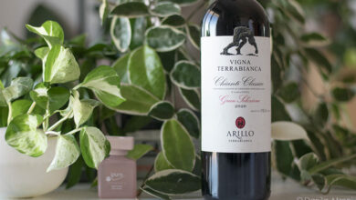 Chianti Classico Gran Selezione Vigna Terrabianca 2020 Arillo in Terrabianca