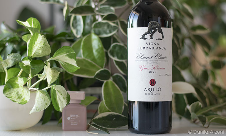Chianti Classico Gran Selezione Vigna Terrabianca 2020 Arillo in Terrabianca