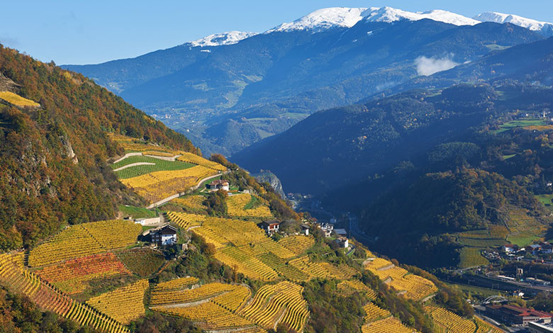 I vigneti della Valle Isarco
