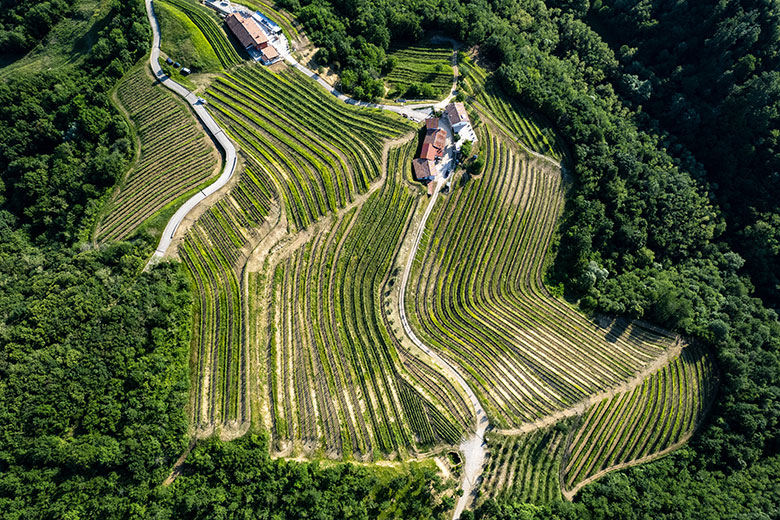 Tenuta Stella