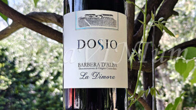 Barbera d'Alba La Dimora 2025 Dosio
