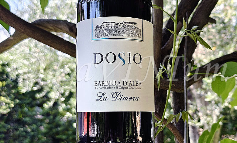 Barbera d'Alba La Dimora 2025 Dosio