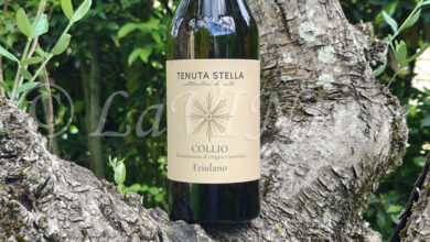 Collio Friulano 2024 Tenuta Stella