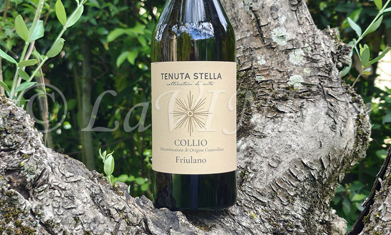 Collio Friulano 2024 Tenuta Stella