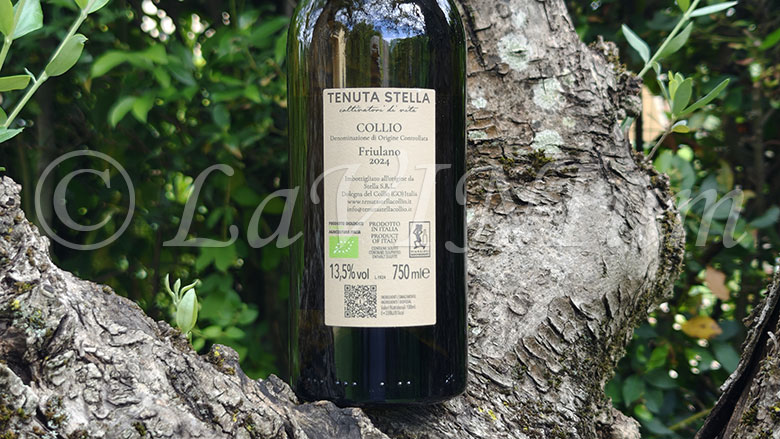 Collio Friulano 2024 Tenuta Stella