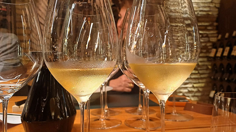 I vini bianchi di Fattoria di Petreto in degustazione