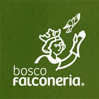 logo Bosco Falconeria