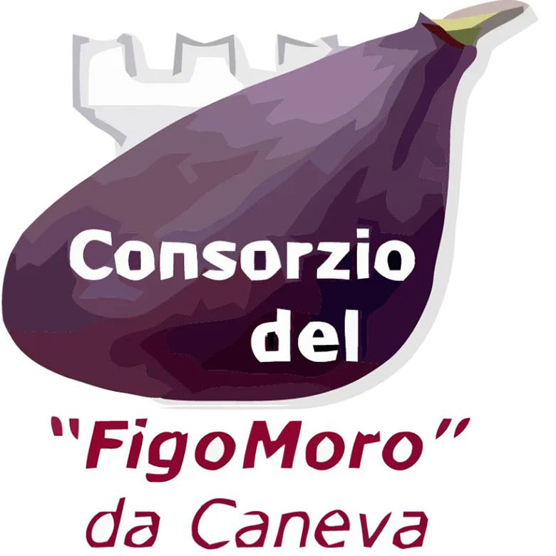 Logo Consorzio del Figo moro di Caneva