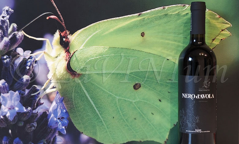 Alcamo Nero d'Avola 2019 Bosco Falconeria
