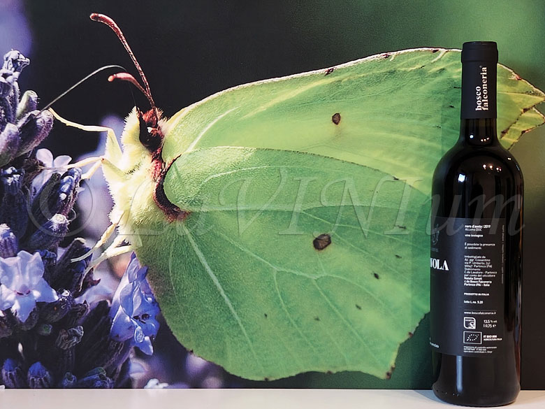 Alcamo Nero d'Avola 2019 Bosco Falconeria