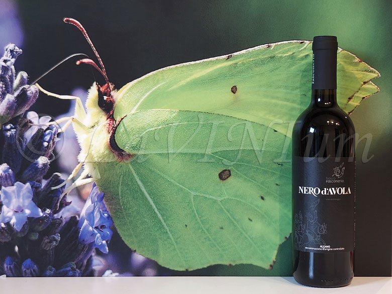 Alcamo Nero d’Avola 2019 Bosco Falconeria