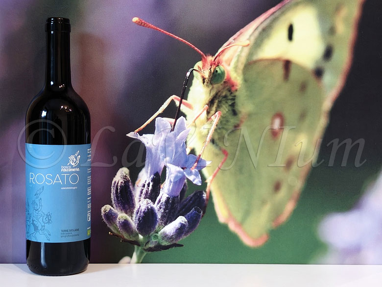 Rosato 2023 Bosco Falconeria
