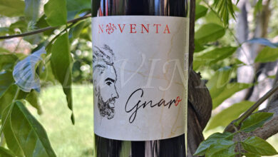 Gnaro Rosso Noventa