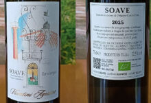 Soave Terralunga 2025 Vicentini Agostino