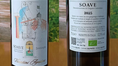 Soave Terralunga 2025 Vicentini Agostino