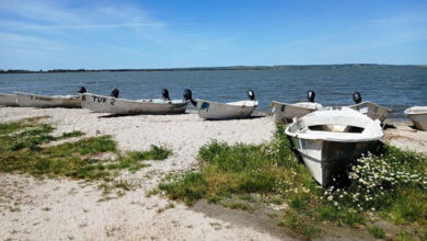 Stagno di Cabras con barche di pescatori