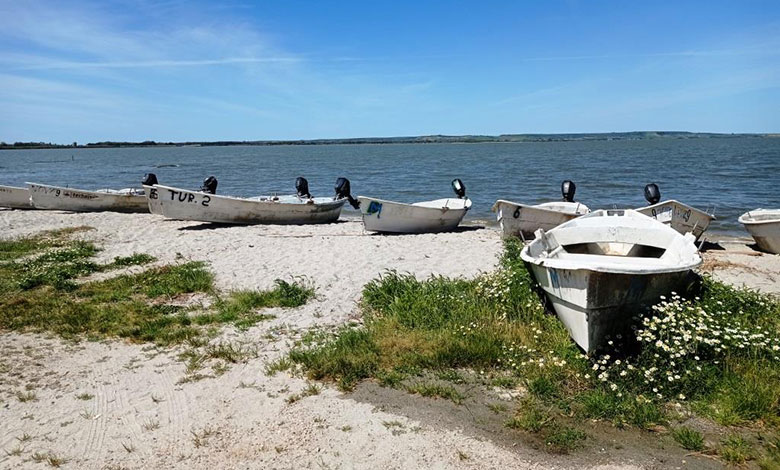 Stagno di Cabras con barche di pescatori