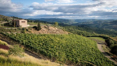 Tenuta Casenuove