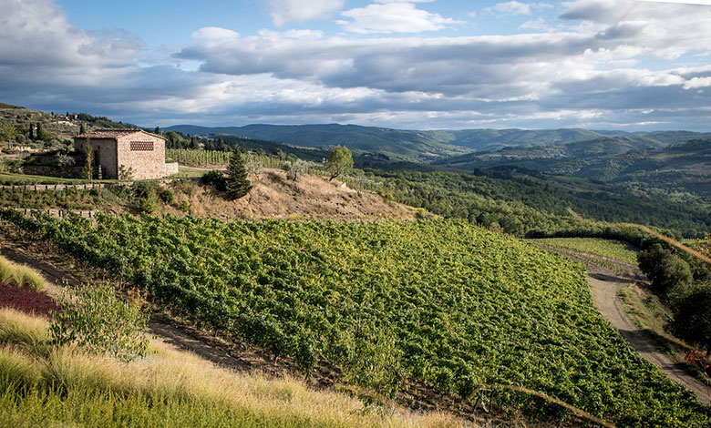 Tenuta Casenuove